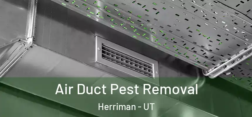  Air Duct Pest Removal Herriman - UT