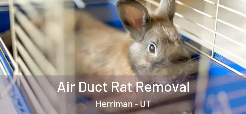  Air Duct Rat Removal Herriman - UT