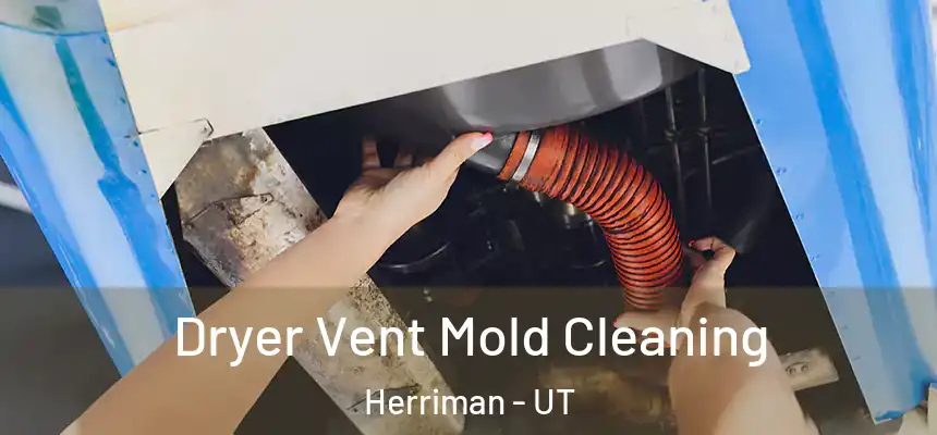 Dryer Vent Mold Cleaning Herriman - UT