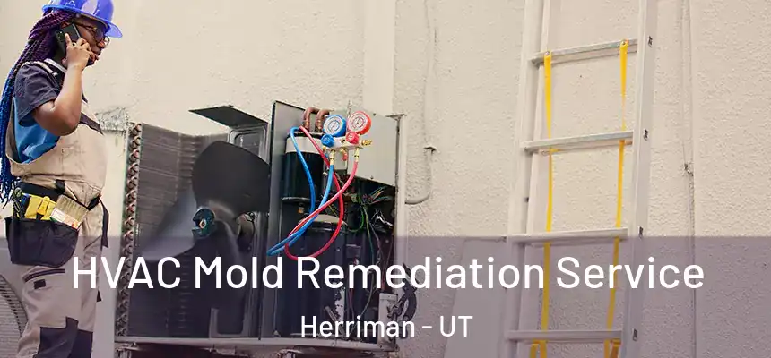  HVAC Mold Remediation Service Herriman - UT