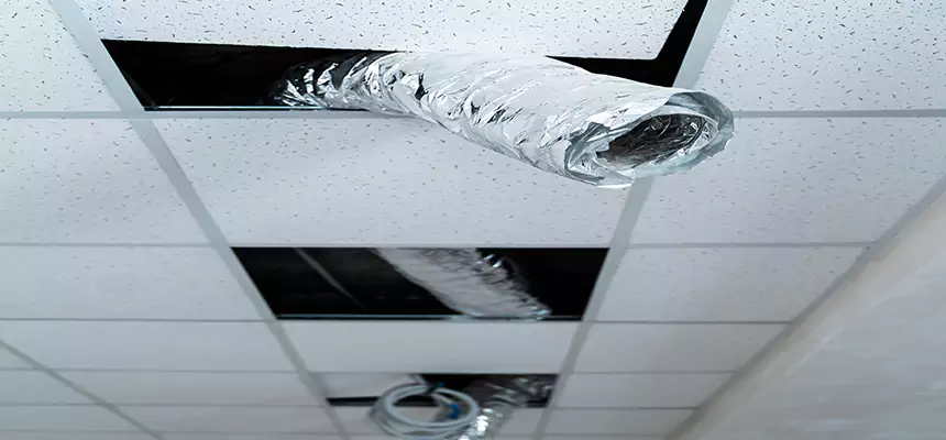 Our Air Duct Pet Hair Removal Services in Herriman, UT