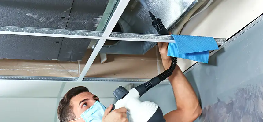 Our Air Duct Rodent Removal Services in Herriman, UT