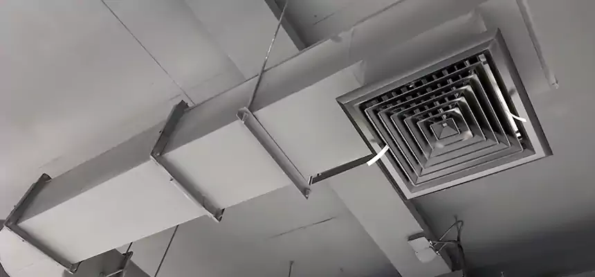 Our Pest Removal From Ducts Services in Herriman, UT