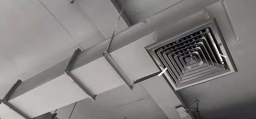 Our Rodent Droppings In Vents Services in Herriman, UT