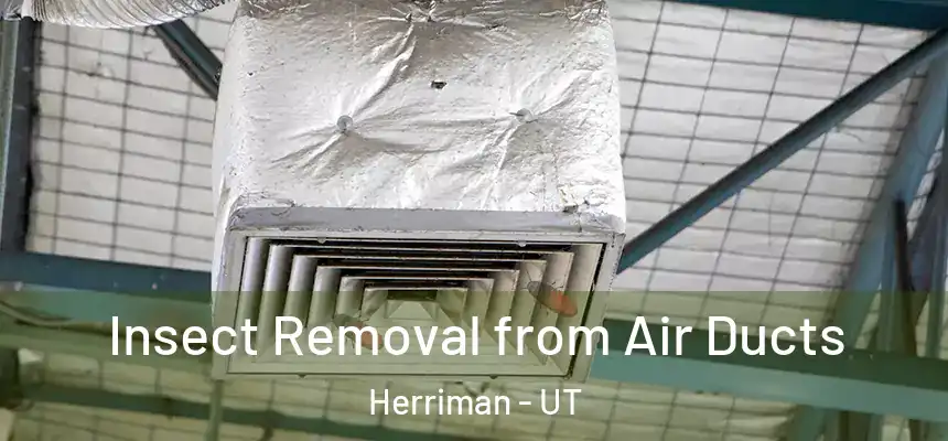  Insect Removal from Air Ducts Herriman - UT