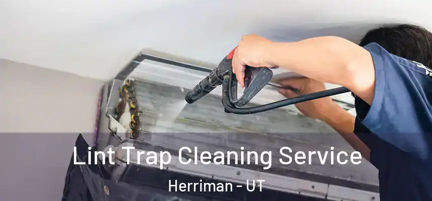  Lint Trap Cleaning Service Herriman - UT