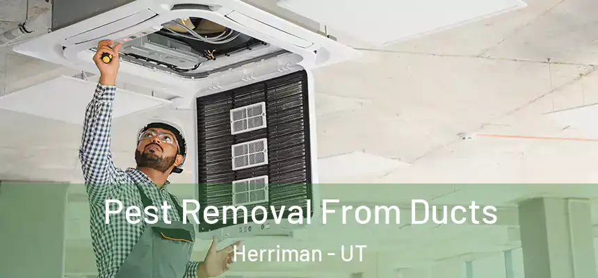  Pest Removal From Ducts Herriman - UT