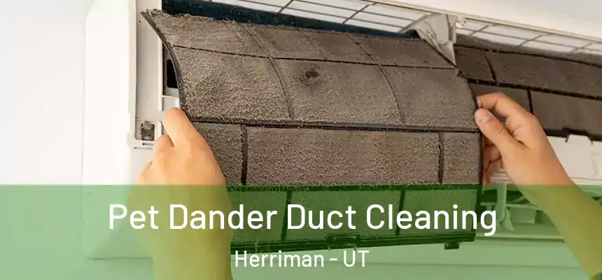  Pet Dander Duct Cleaning Herriman - UT