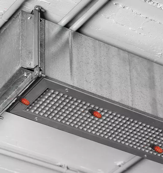 About Air Duct Cockroach Removal in Herriman, UT
