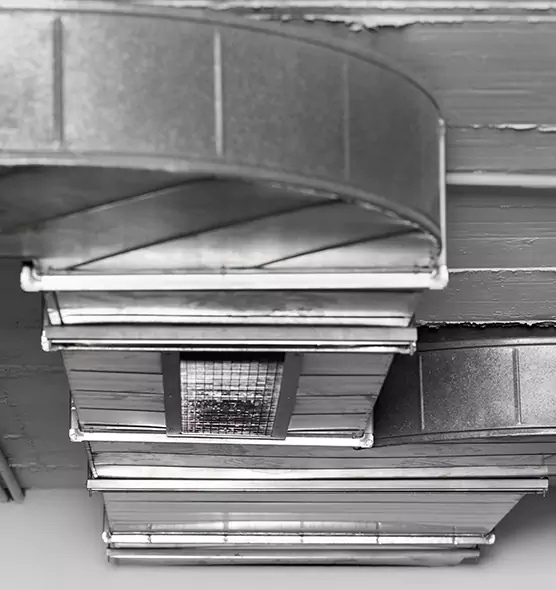 Professional Air Duct Pest Removal in Herriman, UT