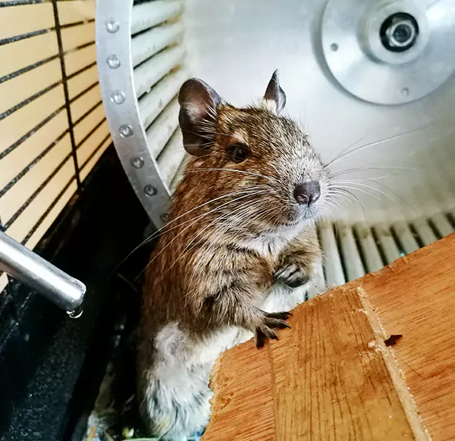 Why Homeowners & Businesses Trust Us Herriman, UT?